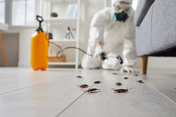 Trusted Fumigation Services service in Trent Woods, NC - Nex Pest Control
